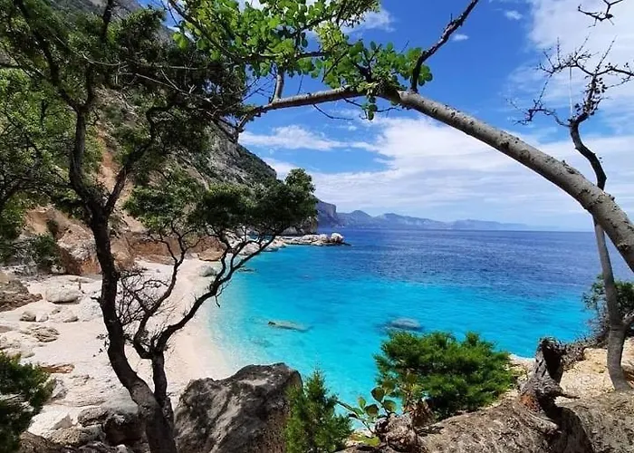 Stella Marina Отель типа 